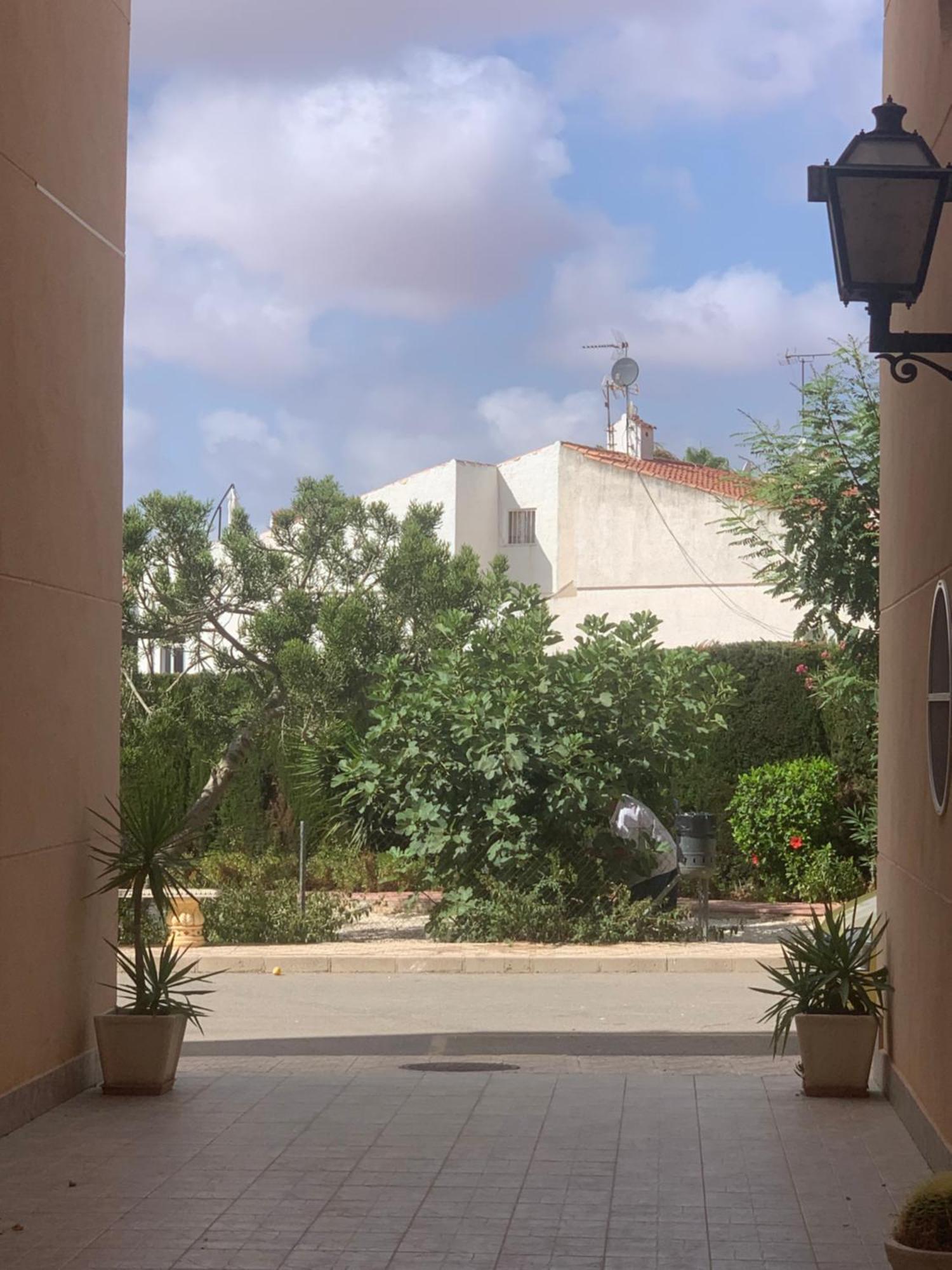 Tres Beau T4 Torrevieja Renove Et Moderne公寓 外观 照片