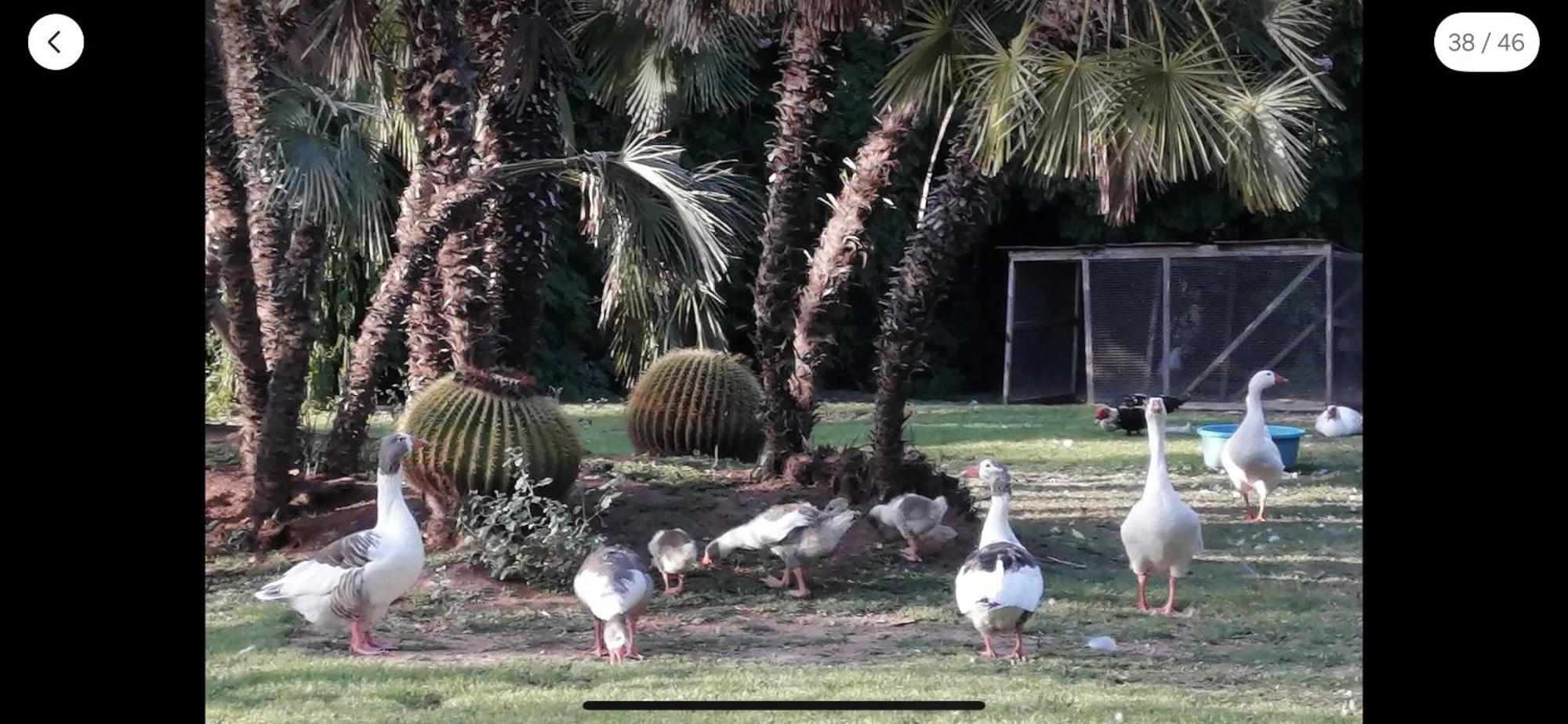 Tres Beau T4 Torrevieja Renove Et Moderne公寓 外观 照片