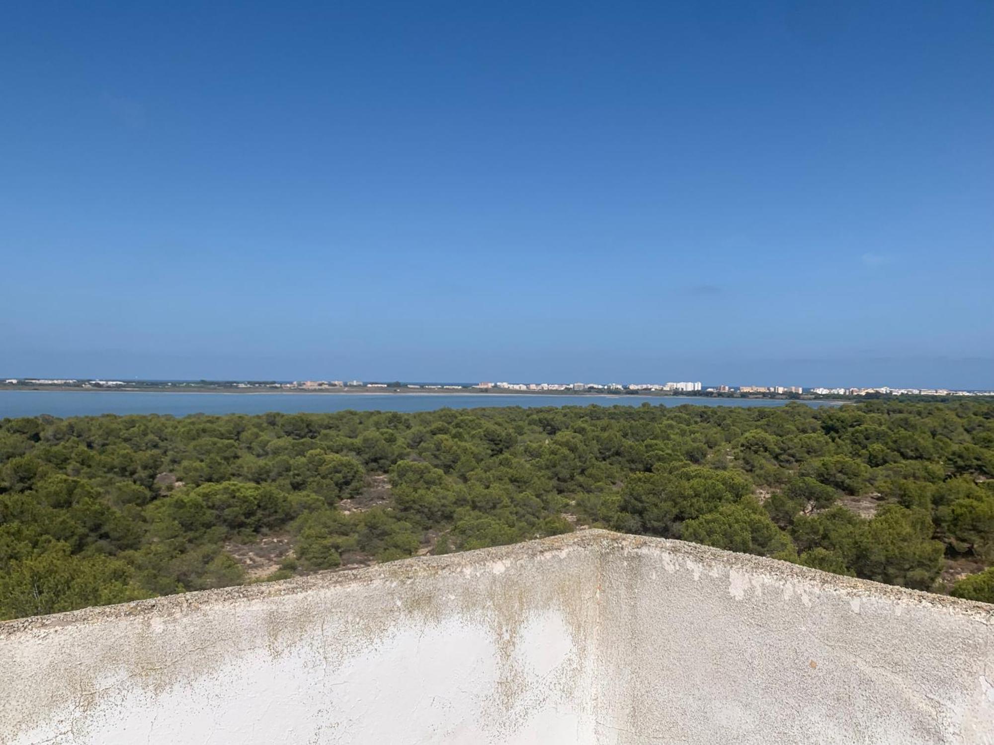 Tres Beau T4 Torrevieja Renove Et Moderne公寓 外观 照片